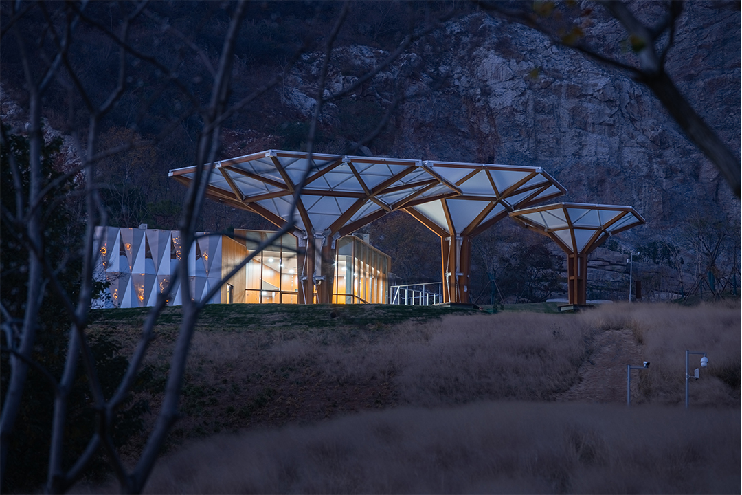 Bamboo structure Grass (8).jpg