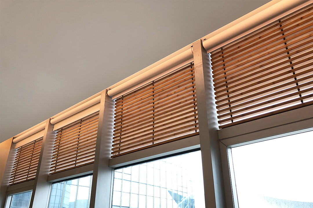 Bamboo interior Clinlic (1).jpg