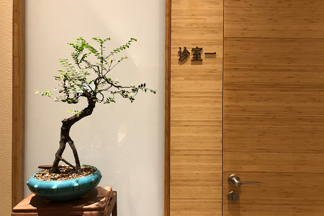 Bamboo interior Clinlic (7).jpg